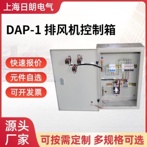 DAP-1 排风机控制箱 防漏电成套智能配电箱 1个