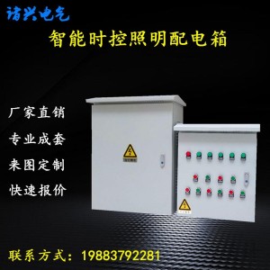 定制成套配电柜多回路智能照明时控模块配电箱户外开关电源控制柜 1个