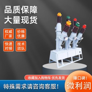LW8-40.5/1600A-31.5KA户外六氟化硫电站断路器35KV瓷柱LW30/LW351台