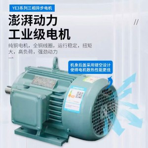 三相异步电动机YE3 全铜 卧式交流电动机全铜芯高效节能变频电机