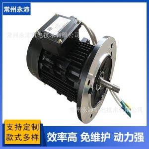 YP132 48V直流永磁无刷电动机 轨道平车电机 YP101 48V无刷电机