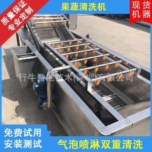 全自动小龙虾气泡清洗机 全自动喷淋式果蔬清洗设备