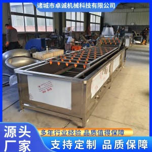 小龙虾清洗蒸煮成套加工设备小龙虾清洗机全自动高压水气泡清洗机