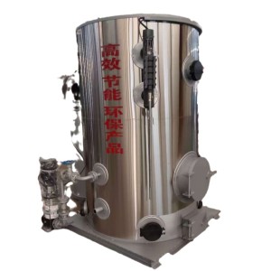 生物质蒸汽发生器燃煤颗粒两用蒸汽锅炉蒸才正反供应开水节能环保