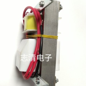 供应户外220V输入电杀虫灯灭蚊灯高压变压器高压电源高压包 1000PCS