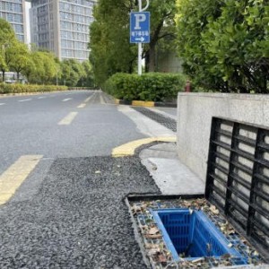 面源污染处理器 亚井雨水 现货供应 面议