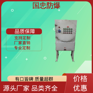 国忠定制 立式防爆配电箱 304不锈钢 ExdIICT6 IP66 化工专用